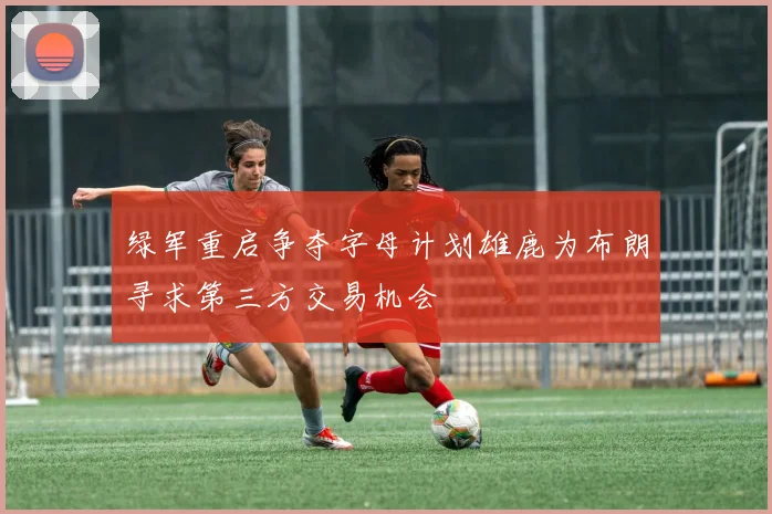 绿军重启争夺字母计划雄鹿为布朗寻求第三方交易机会
